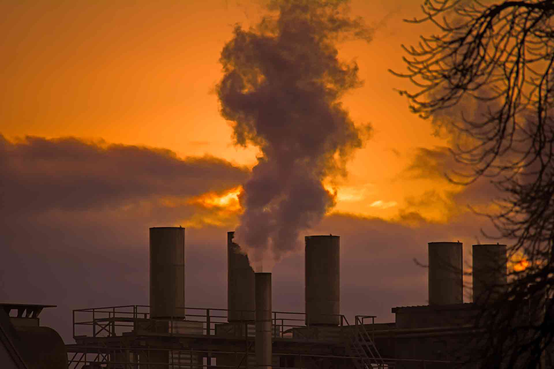 hamburd-wind-energy-plant